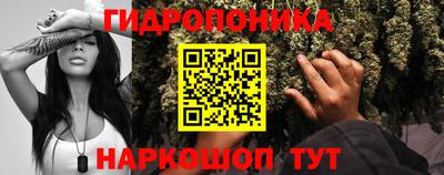 ГАЛЛЮЦИНОГЕННЫЕ ГРИБЫ Балахна