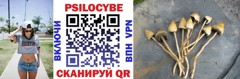 Галлюциногенные грибы Psilocybe  Верхний Уфалей 