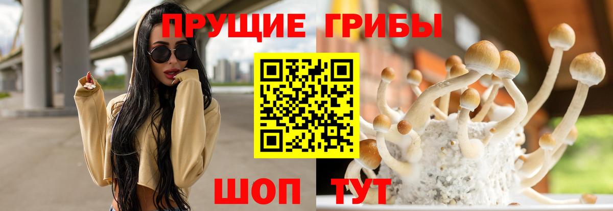 Галлюциногенные грибы Cubensis Верхний Уфалей